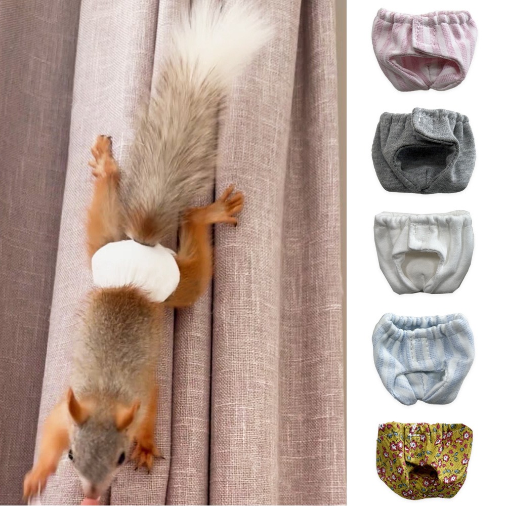 Pannolini Assorbenti per Scoia - Period Panty Absorbent recensione e prezzo